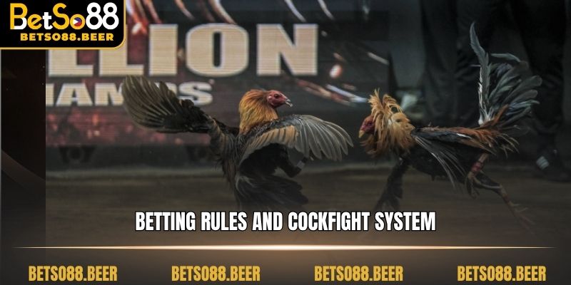 Betting rules and cockfight system