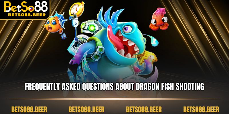 Frequently Asked Questions about Dragon Fish Shooting