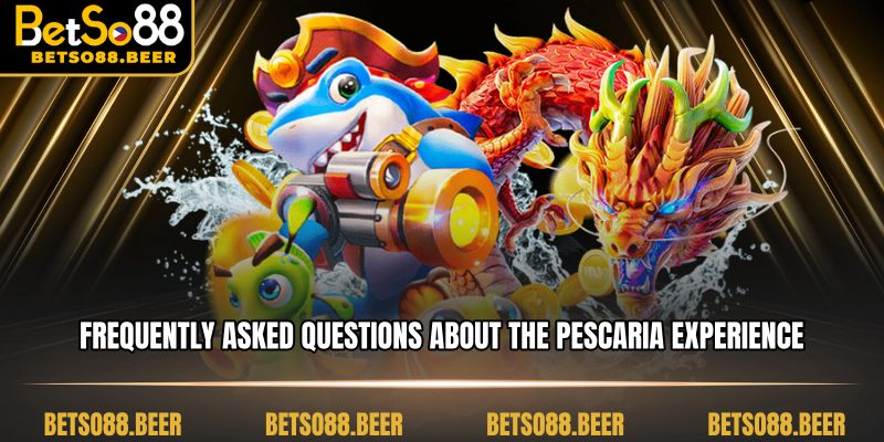 Frequently Asked Questions about the Pescaria Experience