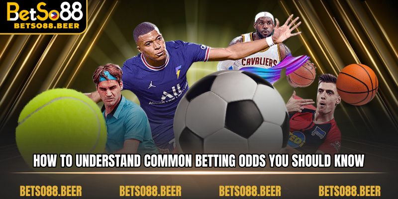 How to understand common betting odds you should know