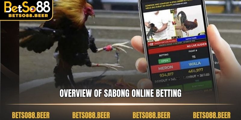 Overview of Sabong online betting