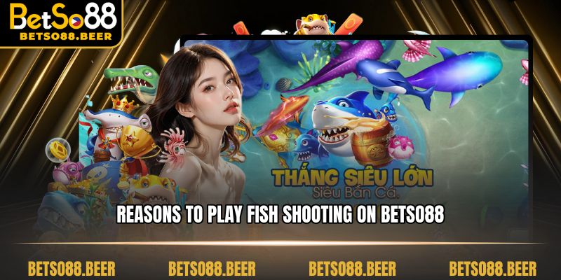 Reasons to play fish shooting on Betso88