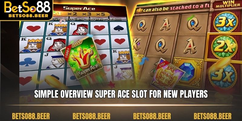 Simple overview Super Ace slot for new players