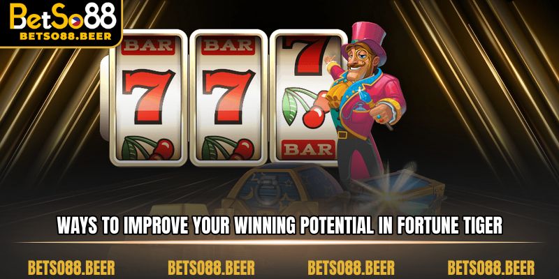 Ways to improve your winning potential in Fortune Tiger