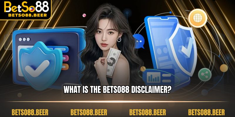 What is the BETSO88 Disclaimer?